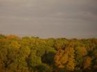 thumbs/pict0332.jpg