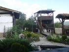 thumbs/pict0283.jpg