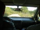 thumbs/pict0288.jpg