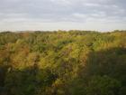 thumbs/pict0329.jpg