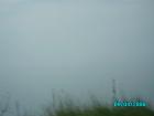 thumbs/pict1141.jpg