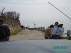 thumbs/pict1148.jpg