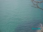 thumbs/pict1163.jpg