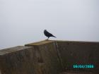 thumbs/pict1166.jpg