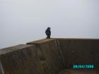 thumbs/pict1167.jpg