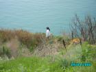 thumbs/pict1173.jpg