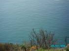 thumbs/pict1174.jpg