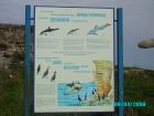 thumbs/pict1180.jpg