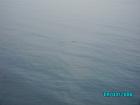 thumbs/pict1189.jpg