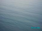 thumbs/pict1191.jpg