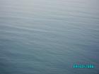 thumbs/pict1194.jpg