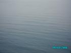 thumbs/pict1195.jpg