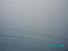 thumbs/pict1196.jpg