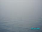 thumbs/pict1199.jpg