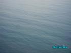 thumbs/pict1191.jpg