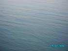 thumbs/pict1193.jpg