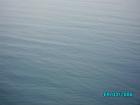 thumbs/pict1194.jpg