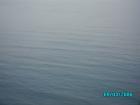 thumbs/pict1195.jpg
