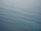 thumbs/pict1191.jpg