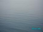thumbs/pict1195.jpg