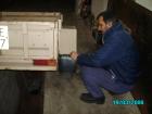 thumbs/pict1003.jpg
