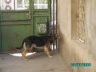 thumbs/pict1016.jpg