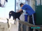 thumbs/pict1021.jpg