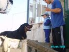 thumbs/pict1022.jpg