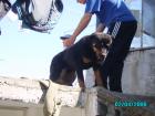 thumbs/pict1023.jpg