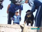 thumbs/pict1024.jpg