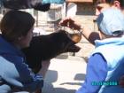 thumbs/pict1027.jpg