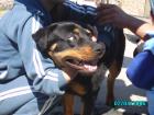 thumbs/pict1028.jpg