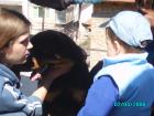 thumbs/pict1029.jpg