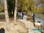 thumbs/pict1038.jpg