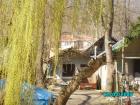 thumbs/pict1057.jpg