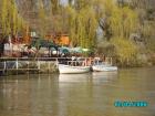thumbs/pict1075.jpg
