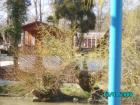 thumbs/pict1078.jpg