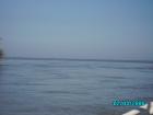 thumbs/pict1082.jpg