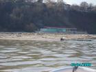 thumbs/pict1089.jpg