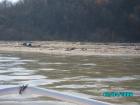 thumbs/pict1090.jpg