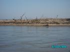 thumbs/pict1098.jpg