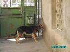 thumbs/pict1016.jpg