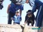 thumbs/pict1024.jpg
