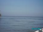 thumbs/pict1082.jpg