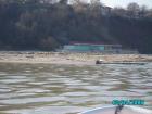thumbs/pict1089.jpg