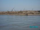 thumbs/pict1098.jpg