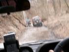 thumbs/PICT0084.jpg