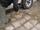 thumbs/sany0494.jpg