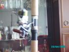 thumbs/pict1319.jpg