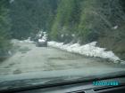 thumbs/pict1337.jpg